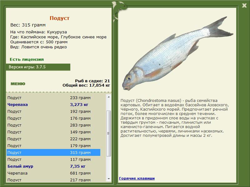 Глубокое синее море 