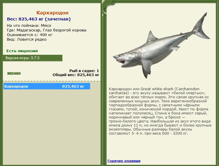 Глаз безрогой коровы 