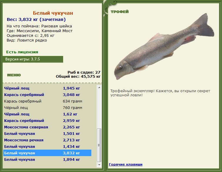 Раковая шейка 