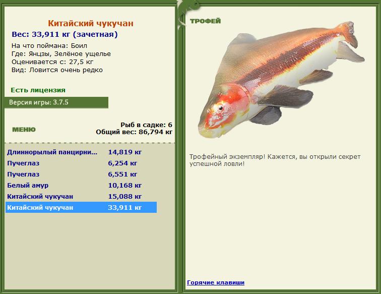 Китайский чукучан 