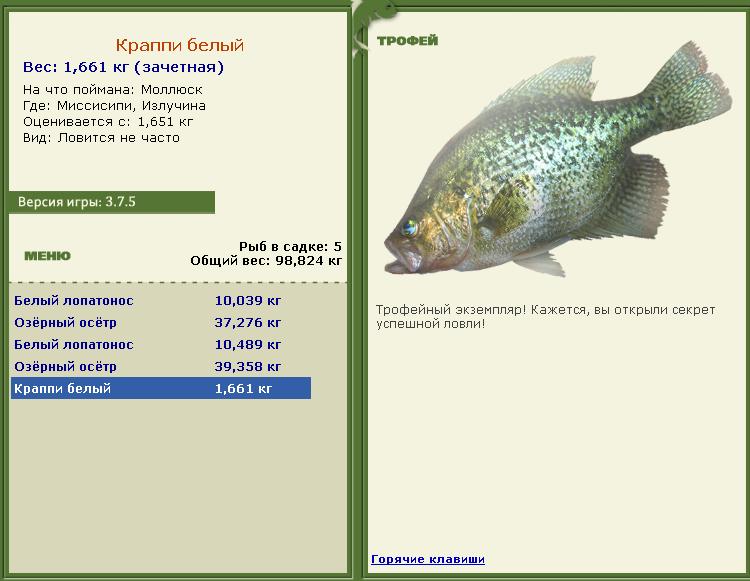 Краппи белый 