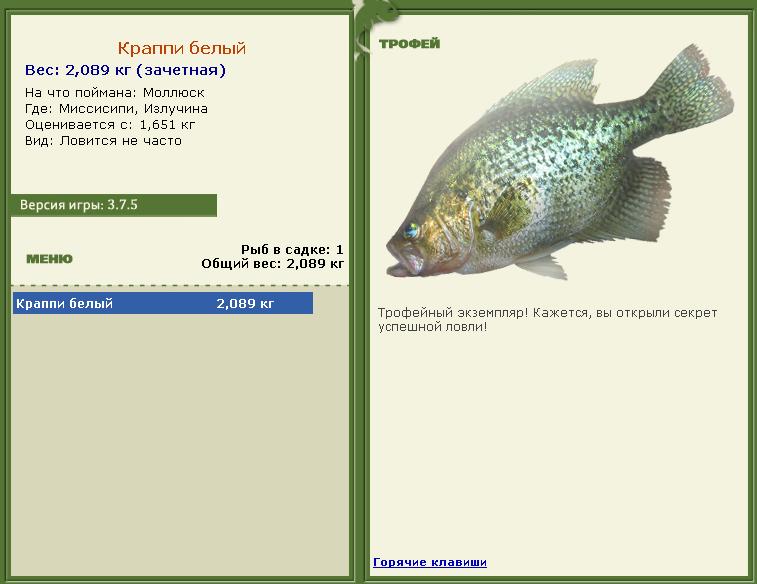 Краппи белый 