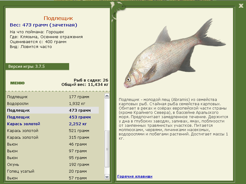Клязьма 