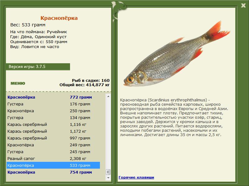 РУССКАЯ РЫБАЛКА Installsoft Edition 