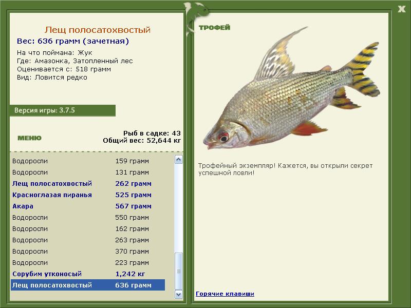 Лещ полосатохвостый 