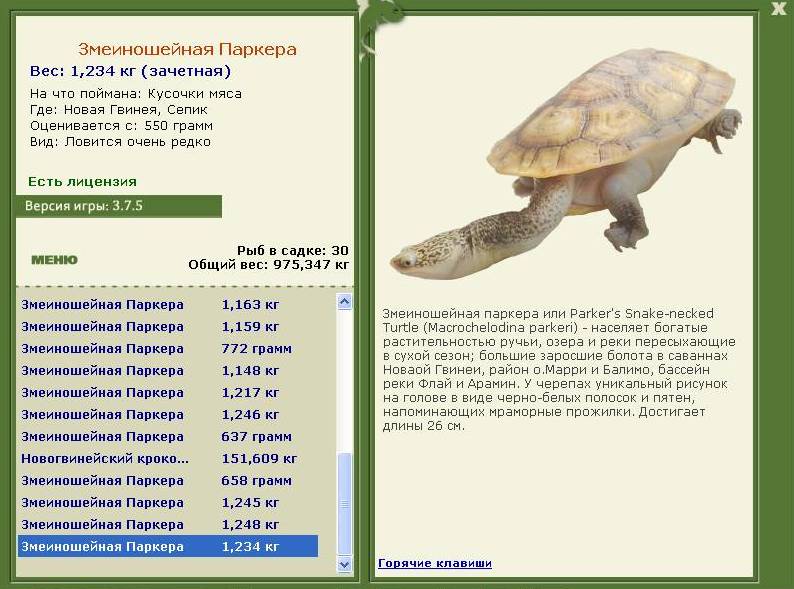 турниры • РУССКАЯ РЫБАЛКА