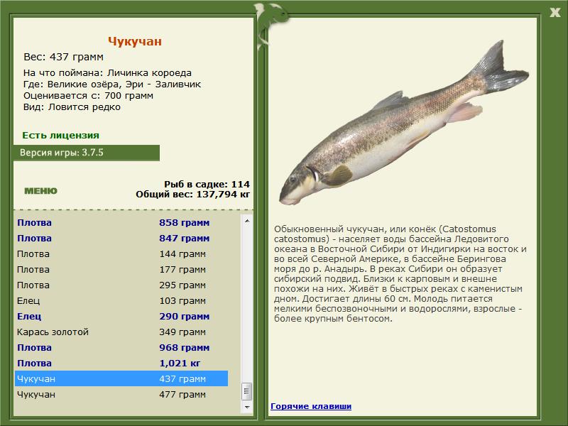 РУССКАЯ РЫБАЛКА Installsoft Edition 