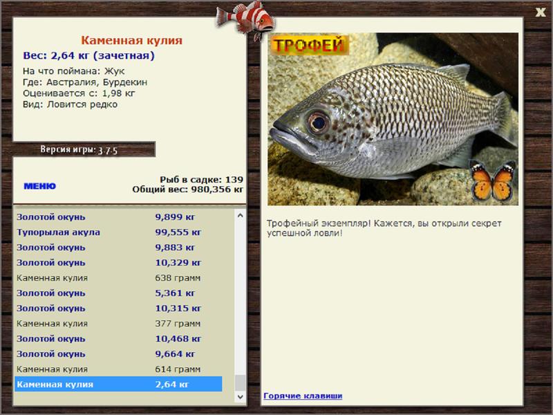 Каменная кулия 