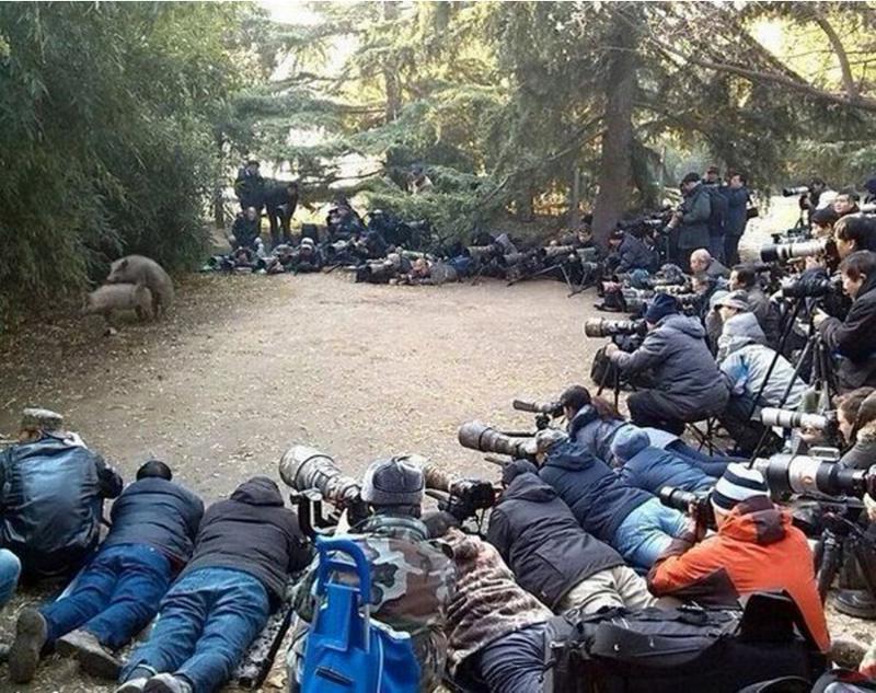 Картинки по запросу ziwotny seks