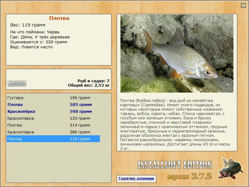 турниры • РУССКАЯ РЫБАЛКА