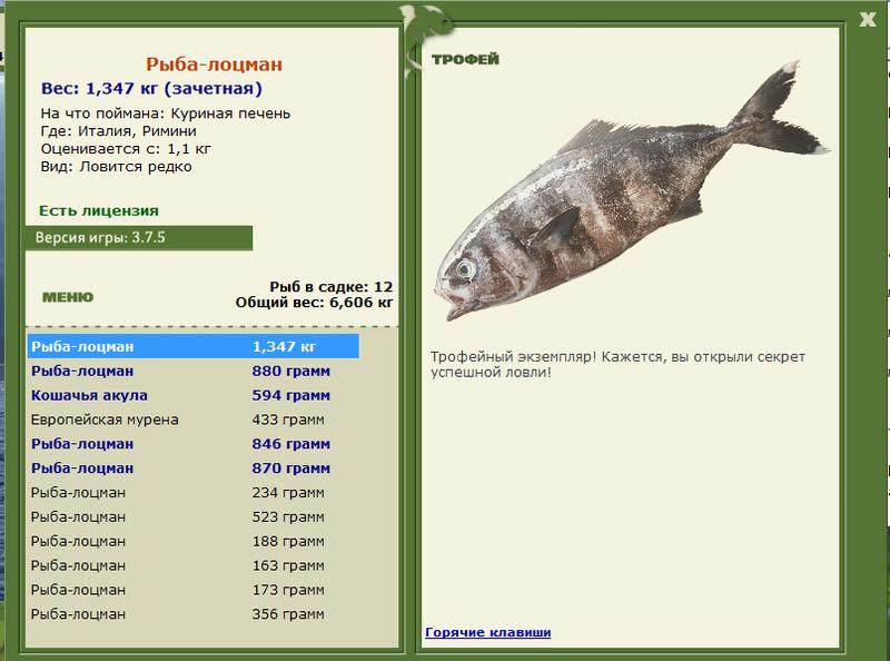 Римини 