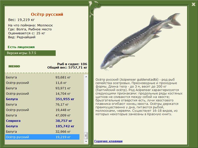 РУССКАЯ РЫБАЛКА Installsoft Edition 
