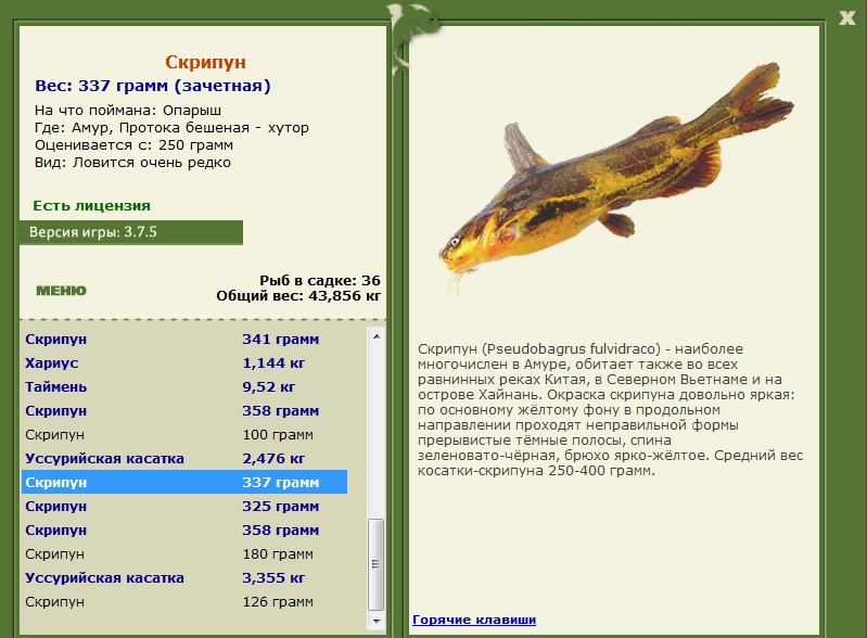 хутор • Амур • РУССКАЯ РЫБАЛКА