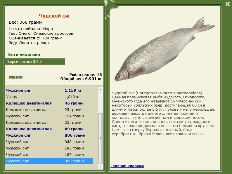 Онежские просторы 