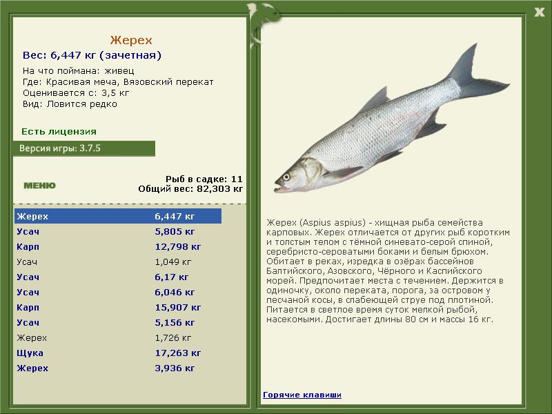 Вязовский перекат 