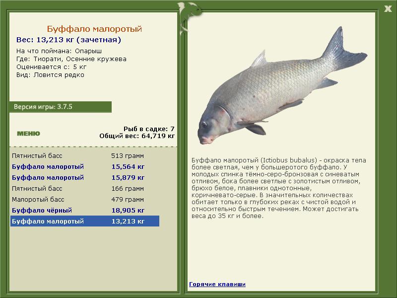 турниры • РУССКАЯ РЫБАЛКА