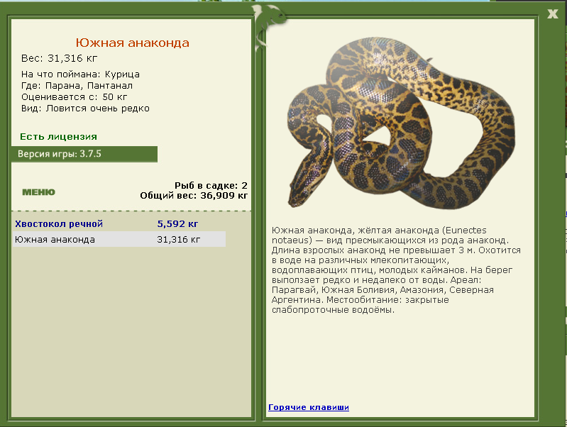 турниры • РУССКАЯ РЫБАЛКА