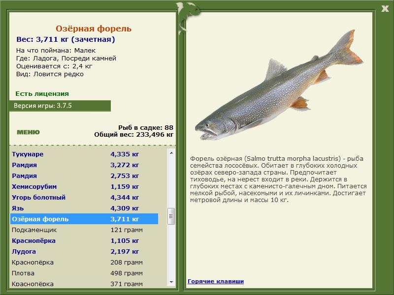 РУССКАЯ РЫБАЛКА Installsoft Edition 