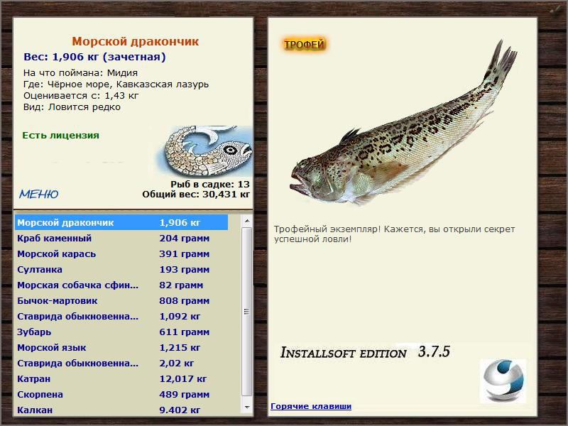 Кавказская лазурь 