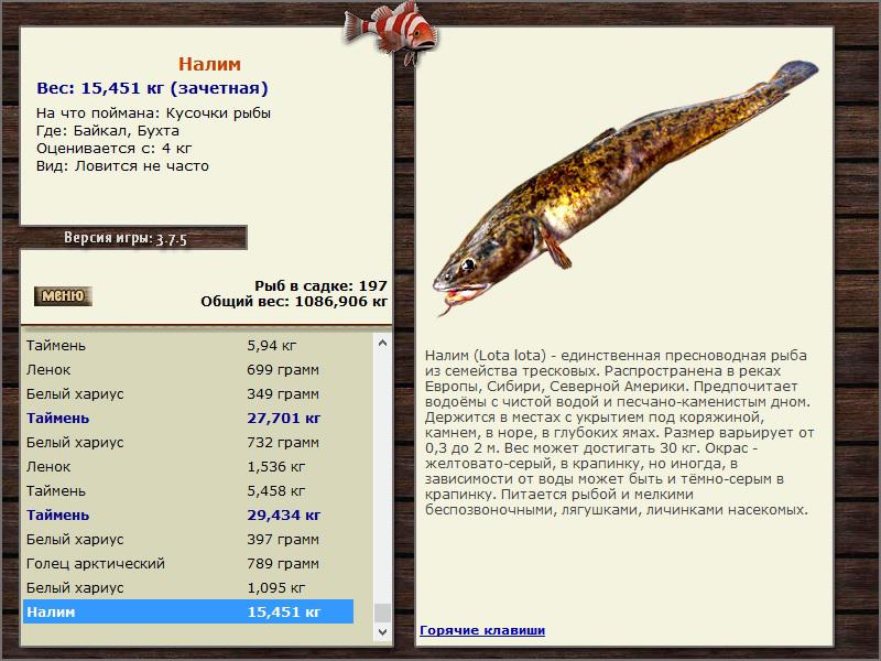 РУССКАЯ РЫБАЛКА Installsoft Edition 