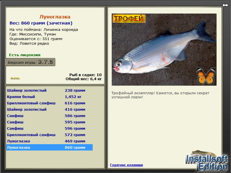 Туман 