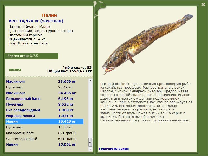 РУССКАЯ РЫБАЛКА Installsoft Edition 