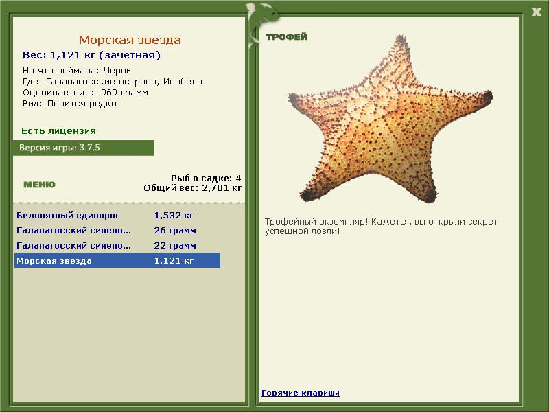 Морская звезда 