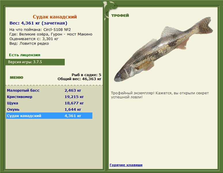  мост Макино • Великие Американские озёра • РУССКАЯ РЫБАЛКА