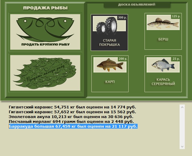 Барракуда большая 