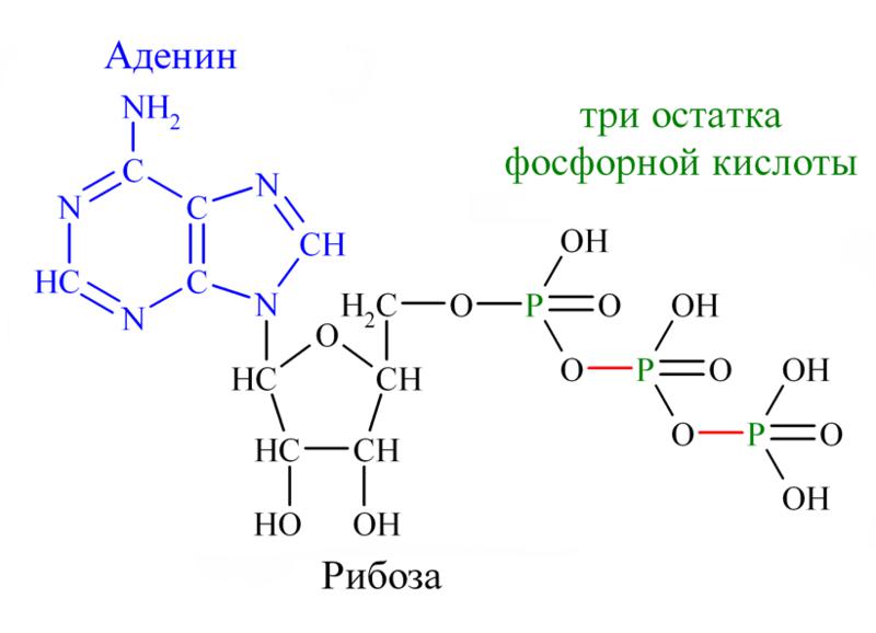  Пикторгаммы - послания Высших