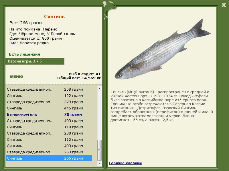 У Белой скалы 