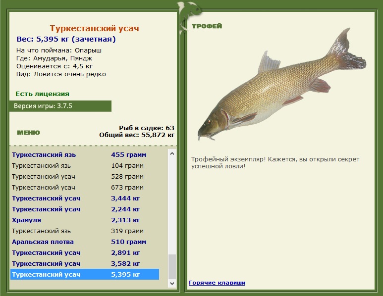 Пяндж 