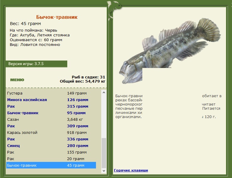 Летняя стоянка 