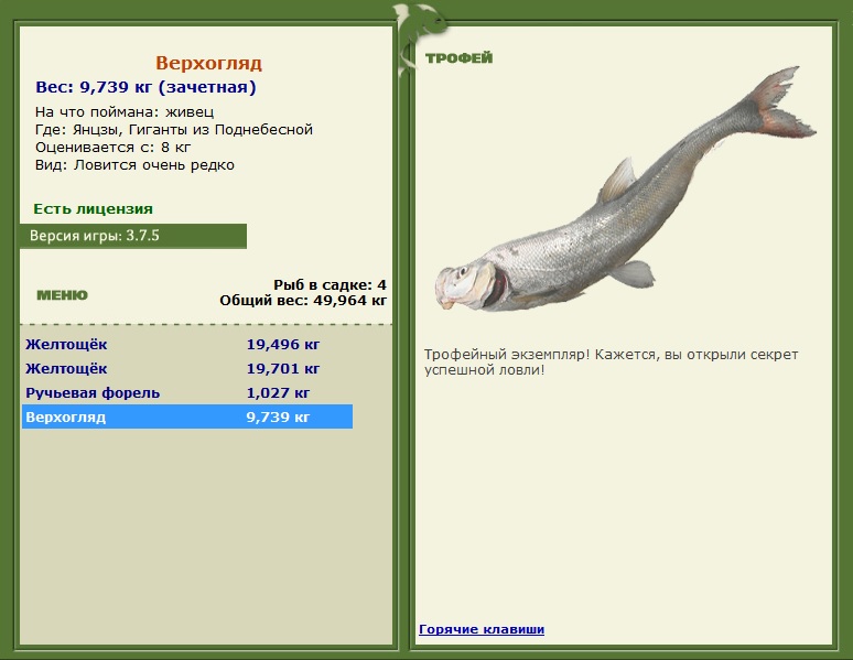 Верхогляд 