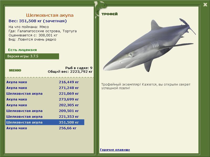 Шелковистая акула 