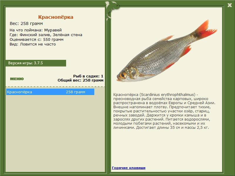 Зелёная стена 