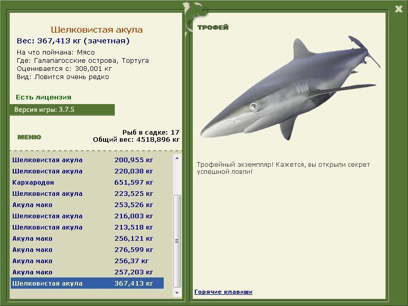 Шелковистая акула 