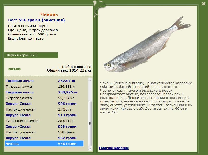 РУССКАЯ РЫБАЛКА Installsoft Edition 