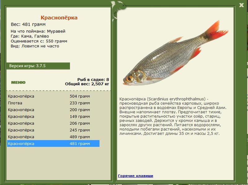 РУССКАЯ РЫБАЛКА Installsoft Edition 