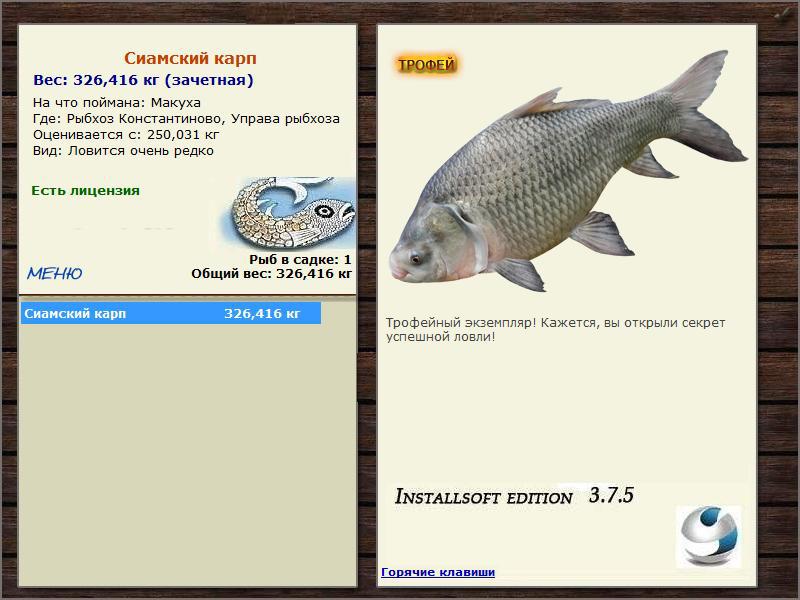 Сиамский карп