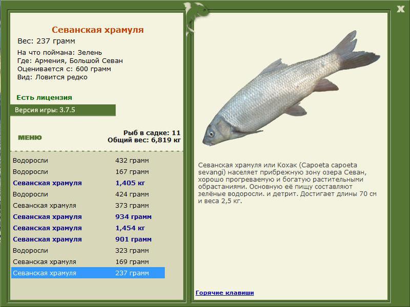 РУССКАЯ РЫБАЛКА Installsoft Edition 