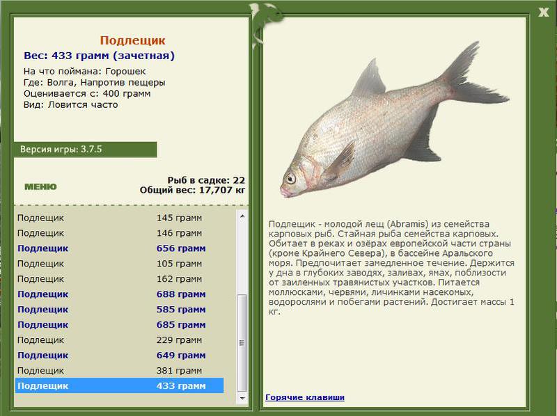 РУССКАЯ РЫБАЛКА Installsoft Edition 