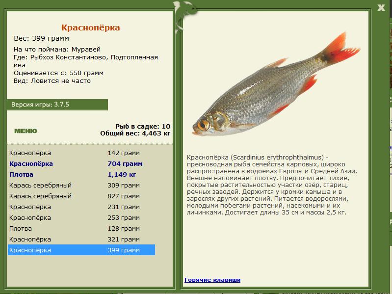 РУССКАЯ РЫБАЛКА Installsoft Edition 