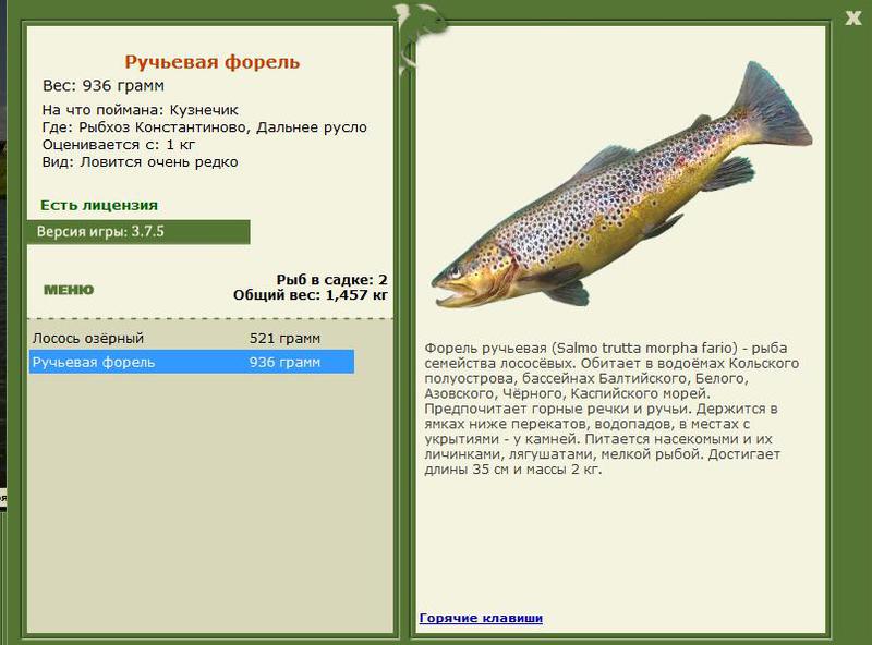 РУССКАЯ РЫБАЛКА Installsoft Edition 