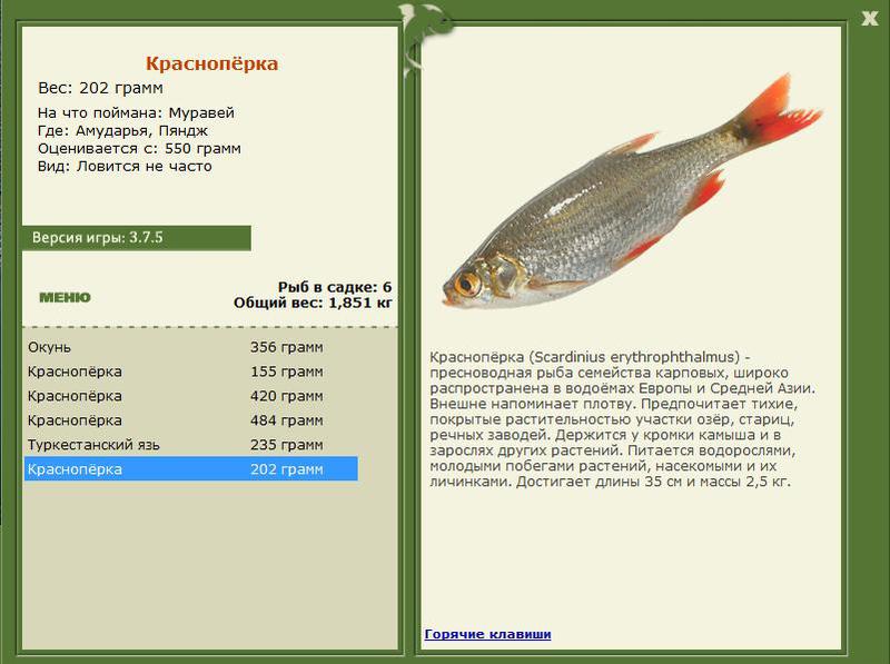 РУССКАЯ РЫБАЛКА Installsoft Edition 