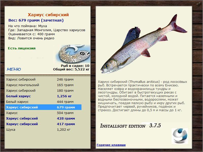 Царство хариусов 