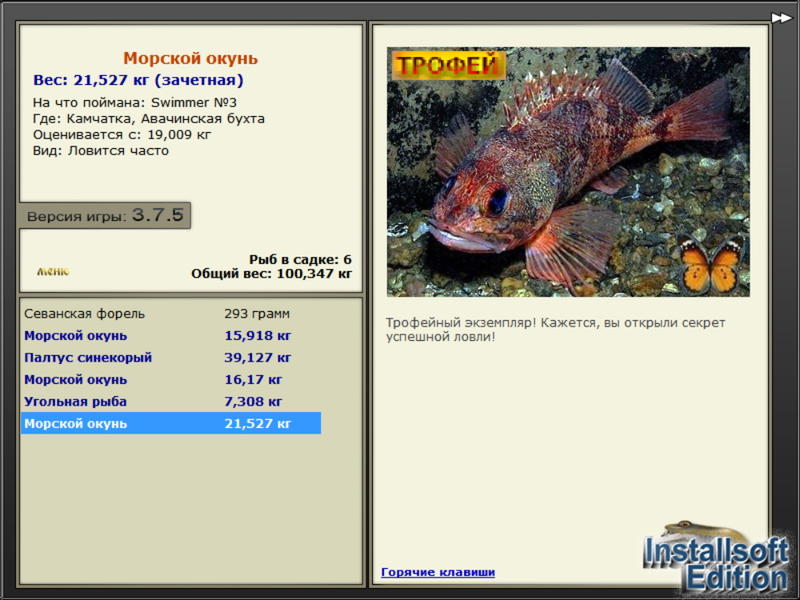 Морской окунь 