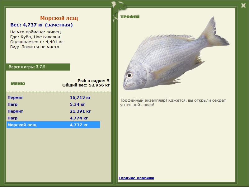 Морской лещ 