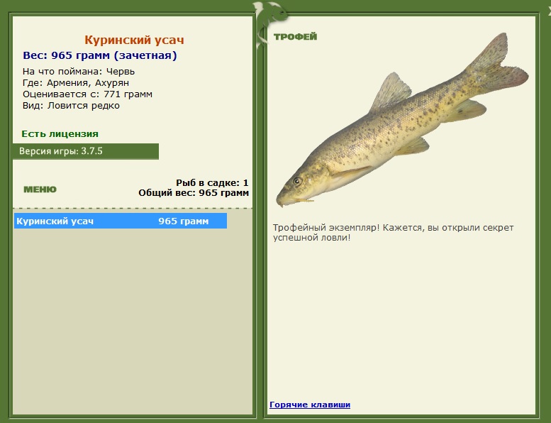 Куринский усач 