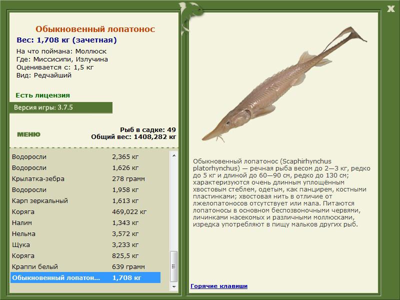 турниры * РУССКАЯ РЫБАЛКА